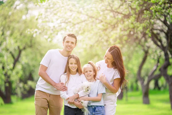 Schattige familie in bloeiende kersentuin op mooie lentedag — Stockfoto