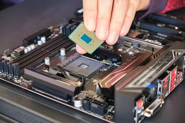 Siyah bir anakart üzerine bir bilgisayar çipi (Cpu) yerleştirmek. Özel Pc yapısı.