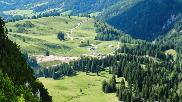 Winding dirt road in the Austrian Alps, with green forests and hills around it, on a sunny bright Summer day.