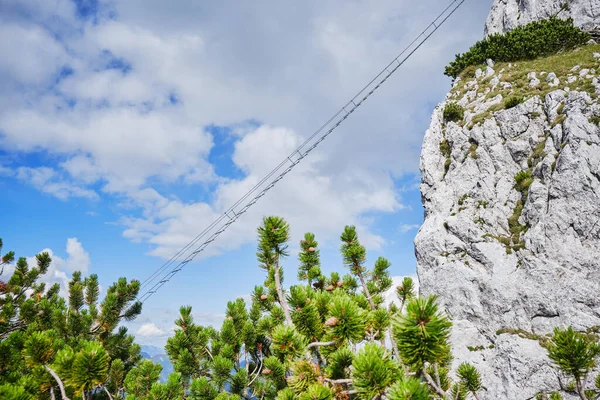 앞쪽에 기수들 Intersport Klettersteig Donnerkogel Route 페라타 사다리를 — 스톡 사진