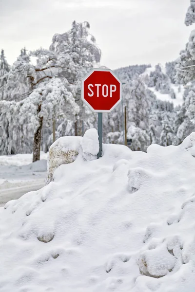 Traffic stop sign covered with snow at the crossroads. Image