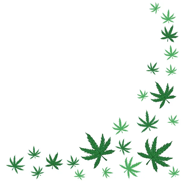 Marco con hojas de marihuana sobre fondo blanco. Gráficos vectoriales — Vector de stock