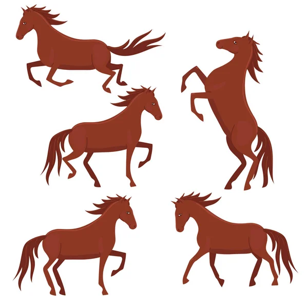 Zestaw brązowych koni odizolowanych na białym tle. Grafika wektorowa. — Wektor stockowy