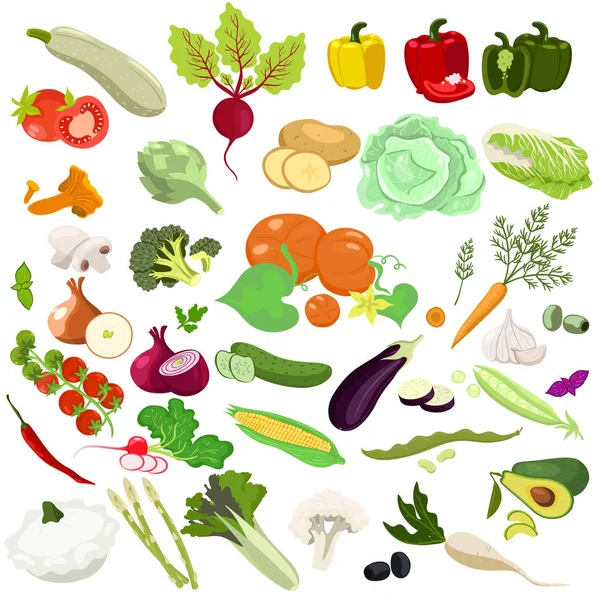 Conjunto de verduras aisladas sobre fondo blanco. Gráficos vectoriales. — Vector de stock