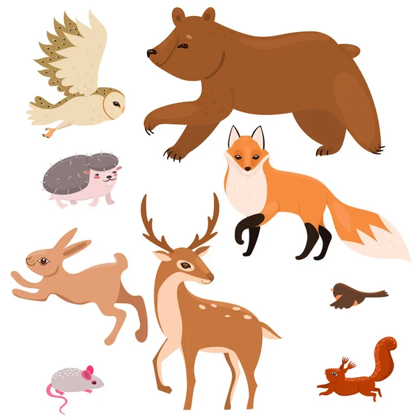 Collection d'animaux forestiers isolés sur fond blanc. Graphiques vectoriels . — Image vectorielle