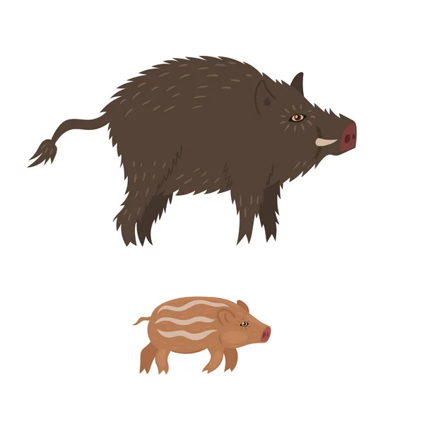 Wildschweine und Jungtiere isoliert auf weißem Hintergrund. Vektorgrafik. — Stockvektor