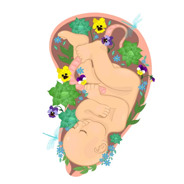 Bambino nel grembo materno con fiori. Grafica vettoriale . — Vettoriale Stock
