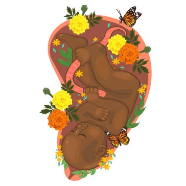 Rahimde çiçekli bir bebek. Vektör grafikleri.