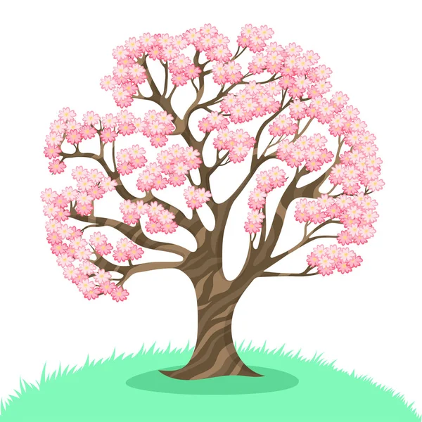 Sakura boom geïsoleerd op een witte achtergrond. vectorgrafieken. — Stockvector