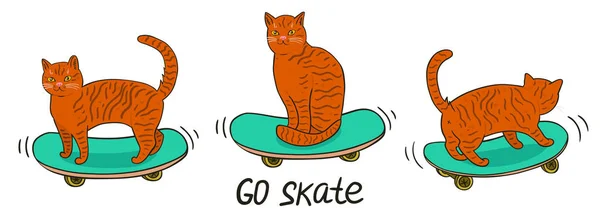 Chats sur skateboards isolés sur un fond blanc. Graphiques vectoriels . — Image vectorielle