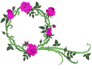 Dikenli yuvarlak bir çerçeve ve beyaz arka planda izole edilmiş mor güller. Vektör grafikleri.