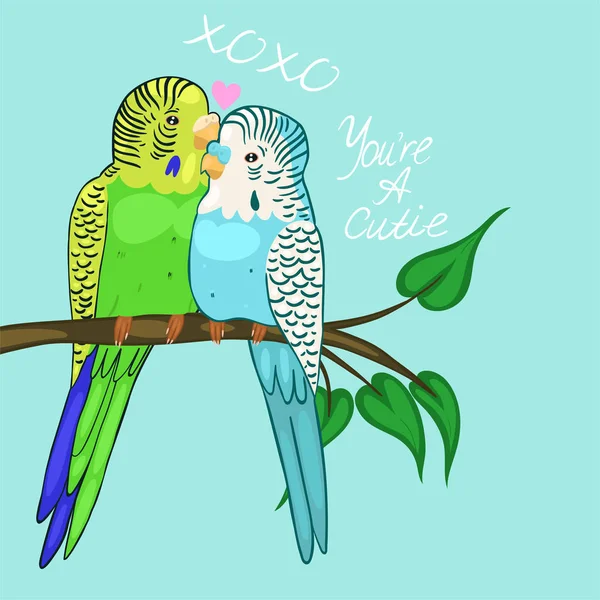Tarjeta de felicitación con periquitos enamorados. Budgies azules y verdes. Gráficos vectoriales — Vector de stock
