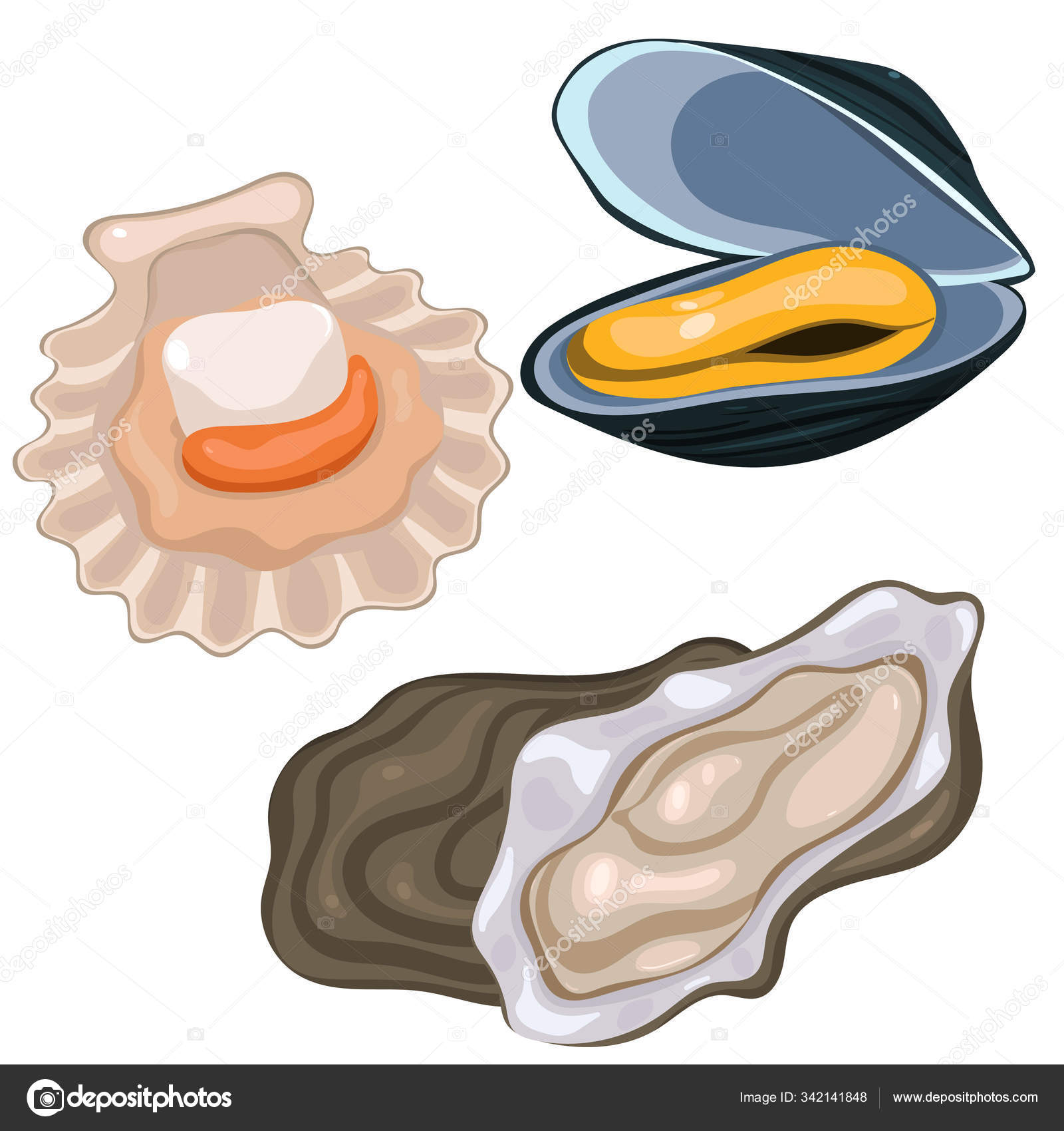 Gambar kartun mussel mollusk imágenes de stock de arte vectorial | Depositphotos Gambar kartun mussel mollusk imágenes de stock de arte vectorial | Depositphotos