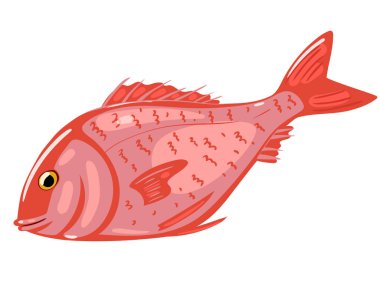 Deniz levreği beyaz bir arkaplanda izole edilmiş. Vektör grafikleri.