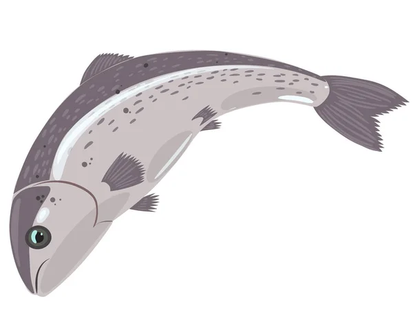 Pesce salmone isolato su fondo bianco. Grafica vettoriale . — Vettoriale Stock