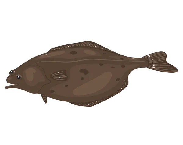 Pesce ippoglosso isolato su sfondo bianco. Grafica vettoriale . — Vettoriale Stock