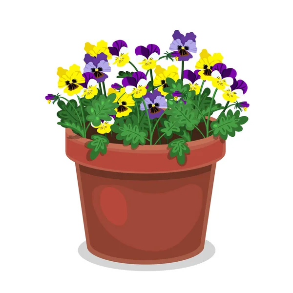 Pansies in a flowerpot isolated on a white background. Vector graphics. — Stok Vektör