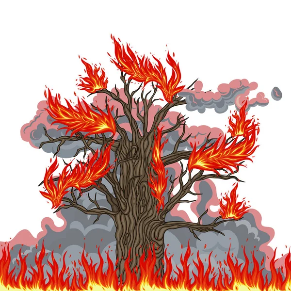 Ateş Dumanda Yanan Meşe Ağacı Vektör Resmi — Stok Vektör
