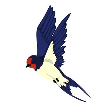 Uçuşta yut, beyaz arka planda izole ol. Vektör resmi