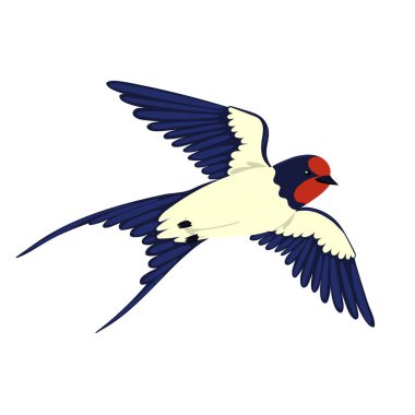 Uçuşta yut, beyaz arka planda izole ol. Vektör resmi