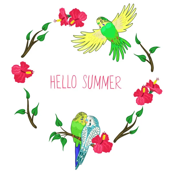 Frame Budgies Hibiscus Flowers Lettering Hello Summer Vector Image — Stock Vector