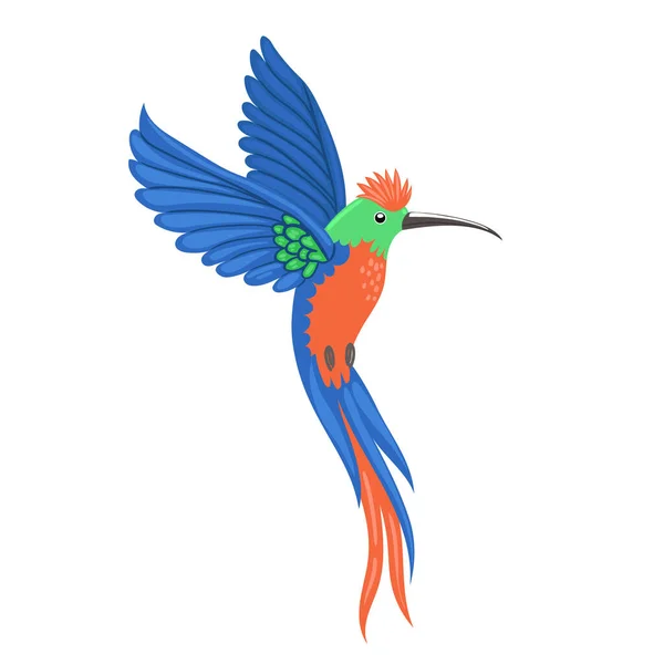 Kolibri Fågel Isolera Vit Bakgrund Vektorbild — Stock vektor