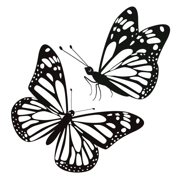 Set Two Butterflies Isolate White Background Vector Image — Stock Vector