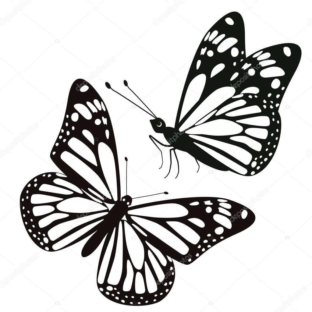 Set of two butterflies isolate on a white background. Vector image