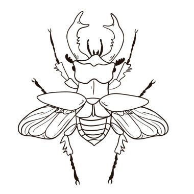 Geyik böceği beyaz arka planda izole edildi. Vektör resmi.