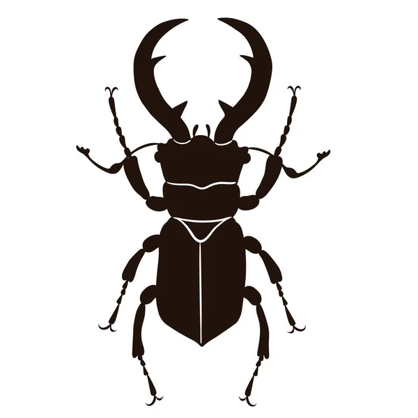 Stag Beetle Isolate White Background Vector Image — Stock Vector