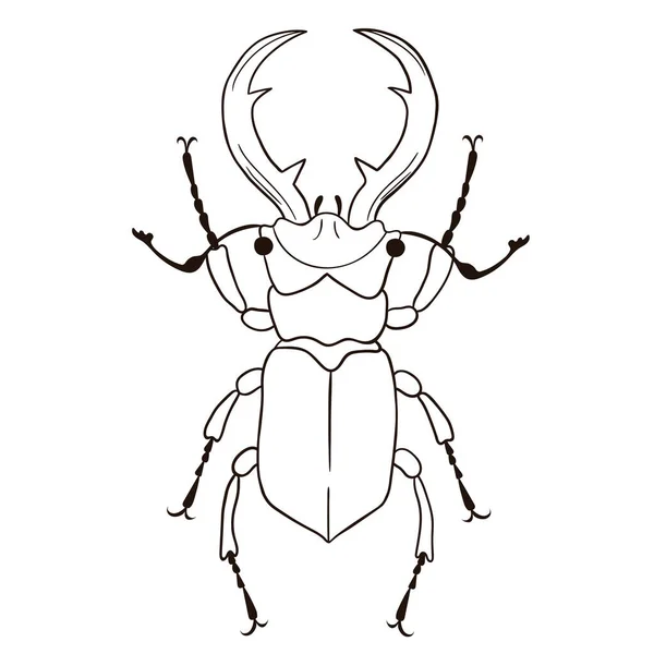 Stag Beetle Isolate White Background Vector Image — Stock Vector