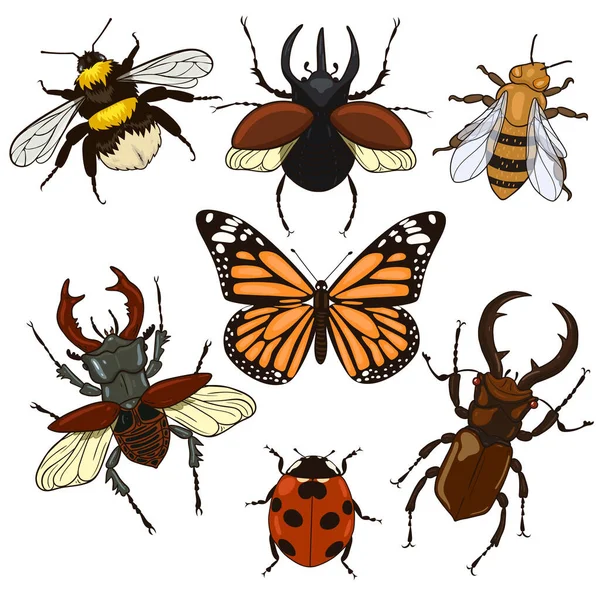 Set Insects Isolated White Background Vector Image — Stock Vector