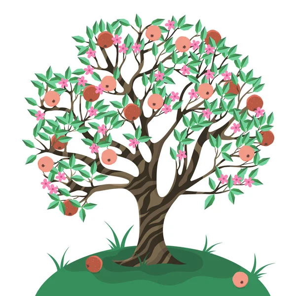 Elma Ağacı Beyaz Bir Arkaplanda Izole Edilir Vektör Resmi — Stok Vektör