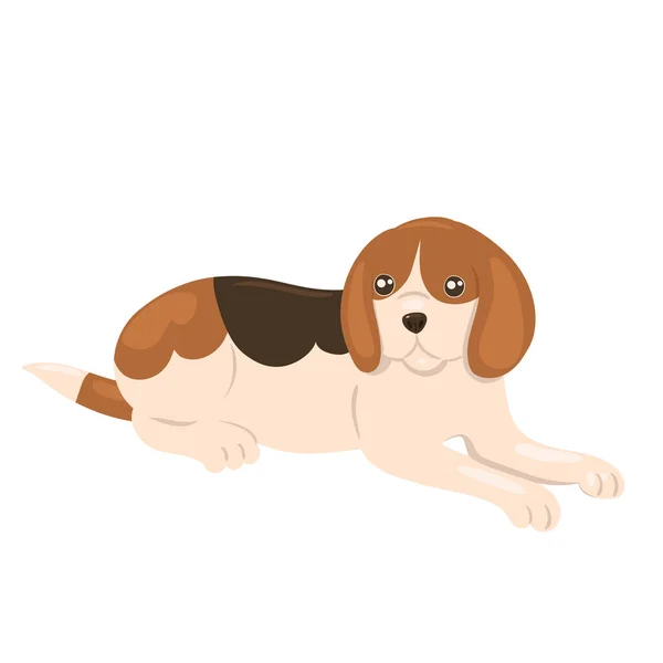 Beagle Puppy Lies Isolate White Background Vector Graphics — Stock Vector
