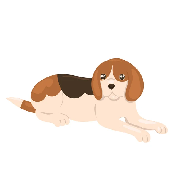 Beagle Cachorro Encuentra Aislado Sobre Fondo Blanco Gráficos Vectoriales — Vector de stock