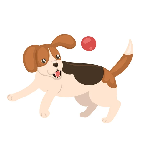 Beagle Cucciolo Che Gioca Con Una Palla Isolata Uno Sfondo — Vettoriale Stock
