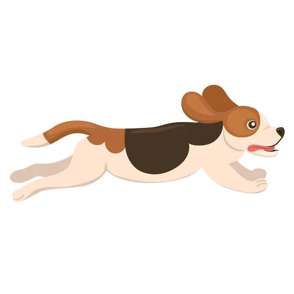 Beagle Cucciolo Corre Isolato Uno Sfondo Bianco Immagine Vettoriale — Vettoriale Stock