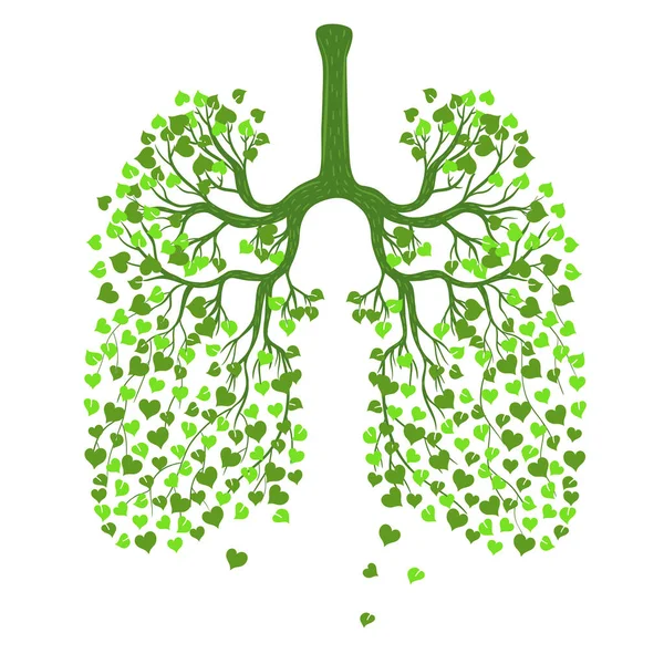 Pulmones Humanos Hojas Aisladas Sobre Fondo Blanco Imagen Vectorial — Vector de stock