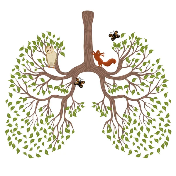以树木形式存在的人类肺在白色背景上被隔离 矢量图像 — 图库矢量图片