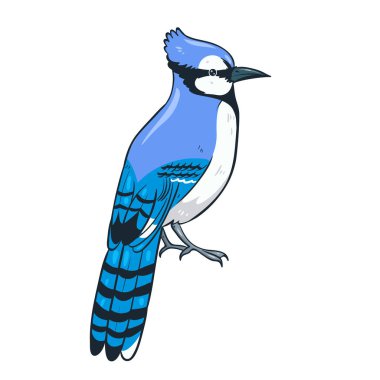 Blue Jay Wings Free Vector Eps Cdr Ai Svg Vector Illustration Graphic Art