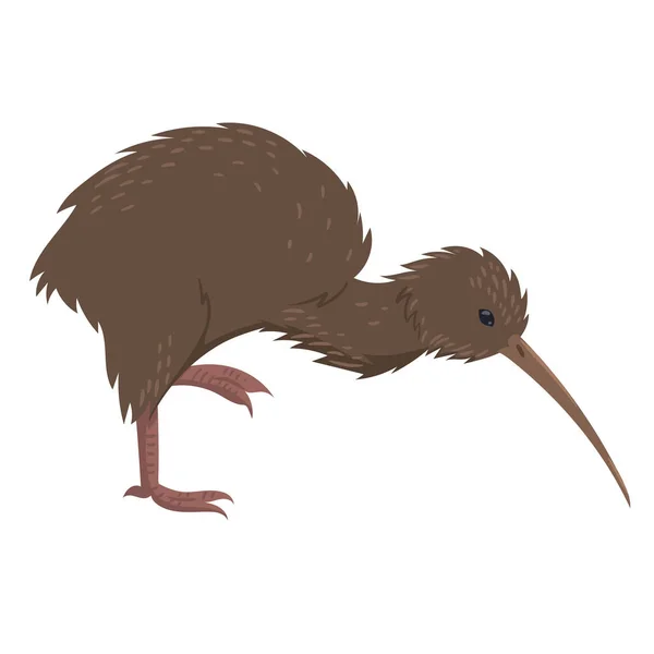 Kiwi Bird Isolated White Background Vector Image — Stock Vector