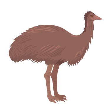 Devekuşu devekuşu beyaz bir arkaplanda izole edilir. Vektör resmi.