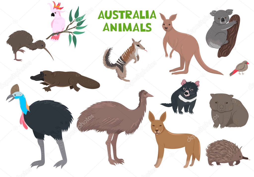Set of Australia animals isolated on a white background. Vector image.
