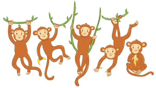 Conjunto Macacos Bonitos Isolados Fundo Branco Imagem Vetorial — Vetor de Stock