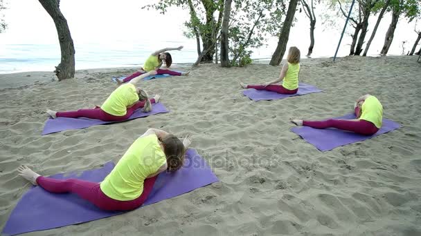 Skupina žen na rohože dělá protahovací cvičení — Stock video