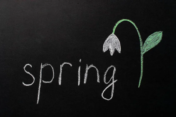 The inscription "spring" written in white chalk on a black chalkboard. Snowdrop drawn on a blackboard with chalk. Spring concept. — Stock Photo, Image