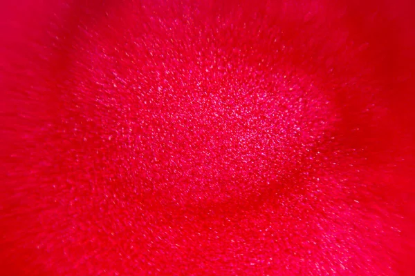 Red Pearl Paint Close Macro Photo Background — Stock Photo, Image