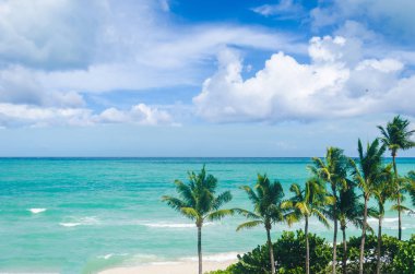 Miami Beach avuç içi