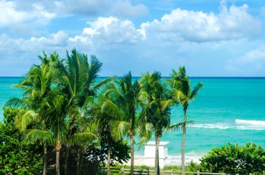 Miami Beach avuç içi