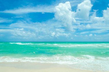 Miami tropikal plaj ve okyanus